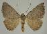  ( - BC EF Alc 00544)  @14 [ ] Copyright (2010) Unspecified Research Collection of Egbert Friedrich