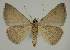  ( - BC EF Alc 00544)  @13 [ ] Copyright (2010) Unspecified Research Collection of Egbert Friedrich