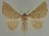  ( - BC EF Alc 00546)  @14 [ ] Copyright (2010) Unspecified Research Collection of Egbert Friedrich