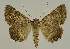  ( - BC EF Alc 00547)  @13 [ ] Copyright (2010) Unspecified Research Collection of Egbert Friedrich