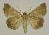  ( - BC EF Alc 00547)  @12 [ ] Copyright (2010) Unspecified Research Collection of Egbert Friedrich