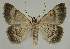  ( - BC EF Alc 00550)  @12 [ ] Copyright (2010) Unspecified Research Collection of Egbert Friedrich