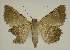  ( - BC EF Alc 00551)  @12 [ ] Copyright (2010) Unspecified Research Collection of Egbert Friedrich