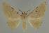  ( - BC EF Alc 00552)  @13 [ ] Copyright (2010) Unspecified Research Collection of Egbert Friedrich
