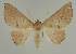  ( - BC EF Alc 00554)  @13 [ ] Copyright (2010) Unspecified Research Collection of Egbert Friedrich