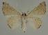  ( - BC EF Alc 00554)  @13 [ ] Copyright (2010) Unspecified Research Collection of Egbert Friedrich