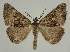  ( - BC EF Alc 00559)  @14 [ ] Copyright (2010) Unspecified Research Collection of Egbert Friedrich