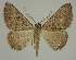 ( - BC EF Alc 00560)  @13 [ ] Copyright (2010) Unspecified Research Collection of Egbert Friedrich
