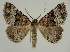  ( - BC EF Alc 00561)  @14 [ ] Copyright (2010) Unspecified Research Collection of Egbert Friedrich