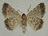  ( - BC EF Alc 00561)  @12 [ ] Copyright (2010) Unspecified Research Collection of Egbert Friedrich