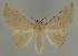  ( - BC EF Alc 00563)  @13 [ ] Copyright (2010) Unspecified Research Collection of Egbert Friedrich