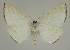  ( - BC EF Alc 00569)  @13 [ ] Copyright (2010) Unspecified Research Collection of Egbert Friedrich