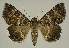 ( - BC EF Alc 00570)  @13 [ ] Copyright (2010) Unspecified Research Collection of Egbert Friedrich