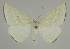  ( - BC EF Alc 00571)  @14 [ ] Copyright (2010) Unspecified Research Collection of Egbert Friedrich
