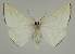  ( - BC EF Alc 00571)  @13 [ ] Copyright (2010) Unspecified Research Collection of Egbert Friedrich