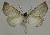  ( - BC EF Alc 00572)  @12 [ ] Copyright (2010) Unspecified Research Collection of Egbert Friedrich