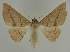  ( - BC EF Alc 00577)  @14 [ ] Copyright (2010) Unspecified Research Collection of Egbert Friedrich