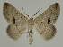  ( - BC EF Alc 00580)  @13 [ ] Copyright (2010) Unspecified Research Collection of Egbert Friedrich