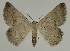  ( - BC EF Alc 00581)  @13 [ ] Copyright (2010) Unspecified Research Collection of Egbert Friedrich