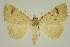  ( - BC EF Alc 00584)  @13 [ ] Copyright (2010) Unspecified Research Collection of Egbert Friedrich