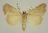  ( - BC EF Alc 00586)  @14 [ ] Copyright (2010) Unspecified Research Collection of Egbert Friedrich
