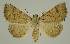  ( - BC EF Alc 00590)  @13 [ ] Copyright (2010) Unspecified Research Collection of Egbert Friedrich