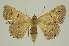  ( - BC EF Alc 00591)  @13 [ ] Copyright (2010) Unspecified Research Collection of Egbert Friedrich