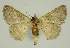  ( - BC EF Alc 00591)  @13 [ ] Copyright (2010) Unspecified Research Collection of Egbert Friedrich