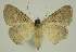  ( - BC EF Alc 00597)  @13 [ ] Copyright (2010) Unspecified Research Collection of Egbert Friedrich