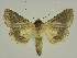  ( - BC EF Alc 00600)  @13 [ ] Copyright (2010) Unspecified Research Collection of Egbert Friedrich