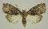  ( - BC EF Alc 00603)  @11 [ ] Copyright (2010) Unspecified Research Collection of Egbert Friedrich