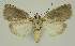 ( - BC EF Alc 00603)  @11 [ ] Copyright (2010) Unspecified Research Collection of Egbert Friedrich