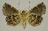  ( - BC EF Alc 00616)  @12 [ ] Copyright (2010) Unspecified Research Collection of Egbert Friedrich