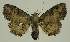  ( - BC EF Alc 00619)  @14 [ ] Copyright (2010) Unspecified Research Collection of Egbert Friedrich