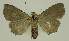  ( - BC EF Alc 00619)  @13 [ ] Copyright (2010) Unspecified Research Collection of Egbert Friedrich