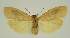  ( - BC EF Alc 00623)  @13 [ ] Copyright (2010) Unspecified Research Collection of Egbert Friedrich