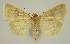  ( - BC EF Alc 00629)  @13 [ ] Copyright (2010) Unspecified Research Collection of Egbert Friedrich