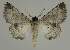  ( - BC EF Alc 00634)  @12 [ ] Copyright (2010) Unspecified Research Collection of Egbert Friedrich