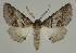  ( - BC EF Alc 00636)  @14 [ ] Copyright (2010) Unspecified Research Collection of Egbert Friedrich