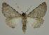  ( - BC EF Alc 00636)  @12 [ ] Copyright (2010) Unspecified Research Collection of Egbert Friedrich