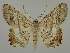  ( - BC EF Alc 00646)  @14 [ ] Copyright (2010) Unspecified Research Collection of Egbert Friedrich