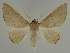  ( - BC EF Alc 00651)  @14 [ ] Copyright (2010) Unspecified Research Collection of Egbert Friedrich