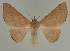  ( - BC EF Alc 00652)  @14 [ ] Copyright (2010) Unspecified Research Collection of Egbert Friedrich