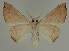  ( - BC EF Alc 00652)  @13 [ ] Copyright (2010) Unspecified Research Collection of Egbert Friedrich