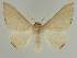 ( - BC EF Alc 00653)  @14 [ ] Copyright (2010) Unspecified Research Collection of Egbert Friedrich