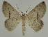  ( - BC EF Alc 00655)  @13 [ ] Copyright (2010) Unspecified Research Collection of Egbert Friedrich