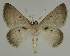  ( - BC EF Alc 00655)  @13 [ ] Copyright (2010) Unspecified Research Collection of Egbert Friedrich