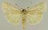  ( - BC EF Alc 00660)  @13 [ ] Copyright (2010) Unspecified Research Collection of Egbert Friedrich