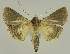  ( - BC EF Alc 00663)  @13 [ ] Copyright (2010) Unspecified Research Collection of Egbert Friedrich