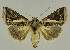  ( - BC EF Alc 00664)  @14 [ ] Copyright (2010) Unspecified Research Collection of Egbert Friedrich